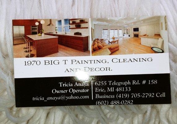 1970 BIG T 
Cleaning, painting, deck clean and staining.  Cabinet and counter top refacing.