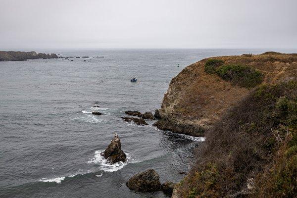 Noyo Headlands Park