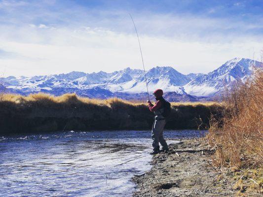 Epic Views from the Lower Owens River during winter time. It fishes well all year!