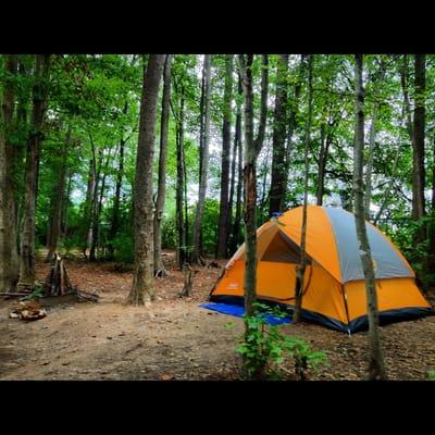 Campgrounds at Ebenezer Park