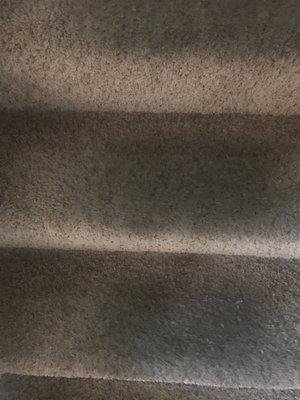 My stairs (after their cleaning).