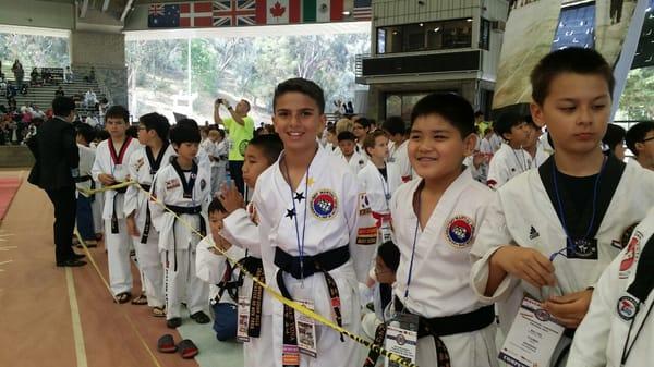 2015 The International Taekwondo Festival