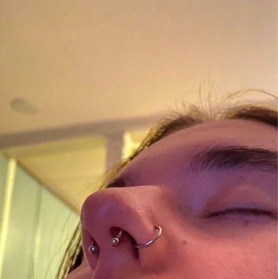 septum, hoop, nose piercings, nose piercing, horseshoe