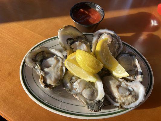 Raw oysters