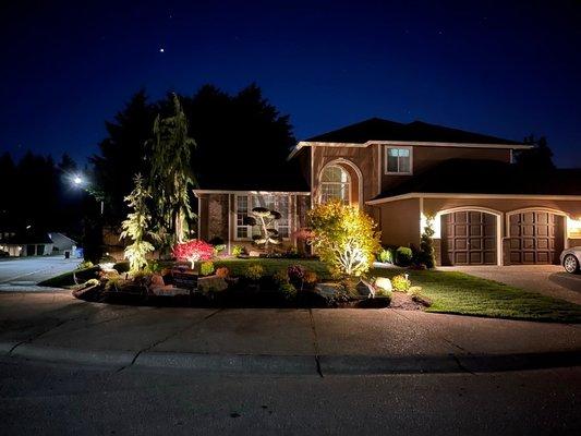 Our new yard in the evening. (Like all pictures of nature, it's even better in person.)