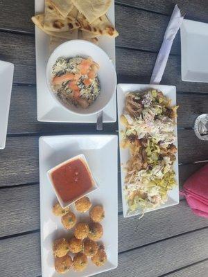 Spinach Artichoke Dip, Mozza Balls, and loaded fries!