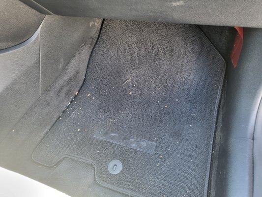 Seeds and debris from rodents on floor mat.