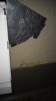 Mold on wall near carpet. Villa Capri D building!