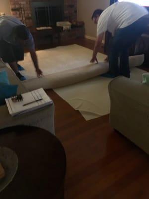 Delivery: laying out my clean area rug! They wore shoe covers for pick up and delivery!