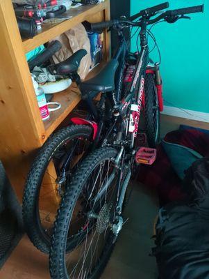 My Santa Cruz & Specialize MTB. Brought them over to assist me without any hesitation whatsoever;  w/"Johnny B-Good/Mr Julianne"