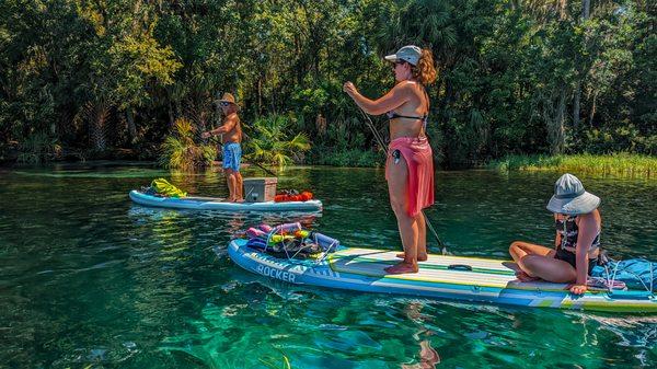 Rainbow Springs Paddle Board Adventure