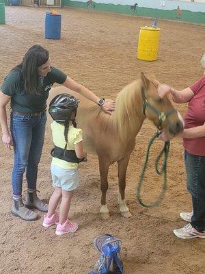 Bonding with the horse