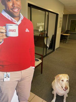 #jakefromstatefarm is great for pets! Try Trupanion