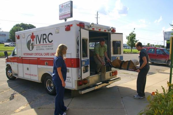 IVRC - Pet Ambulance