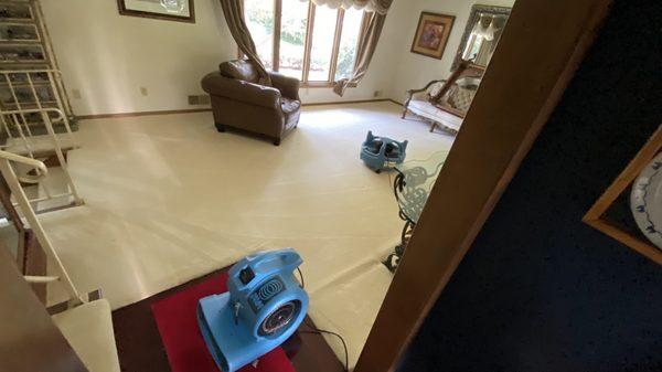 Aspen Carpet Cleaning