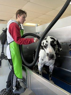 Two Brothers Self Service Dog Wash