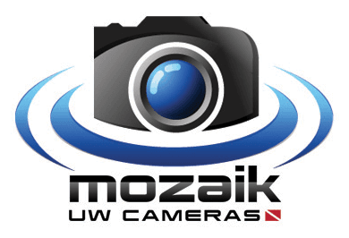 Mozaik UW Cameras Logo (Since 2006)