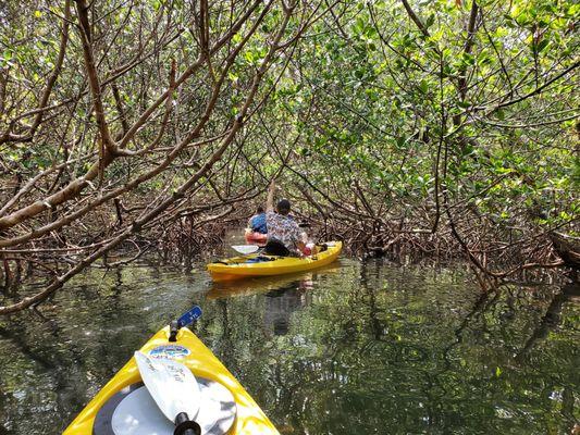 Kayaking