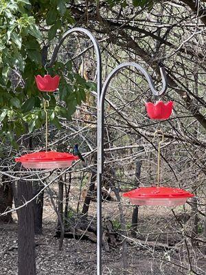 Humming bird feeders