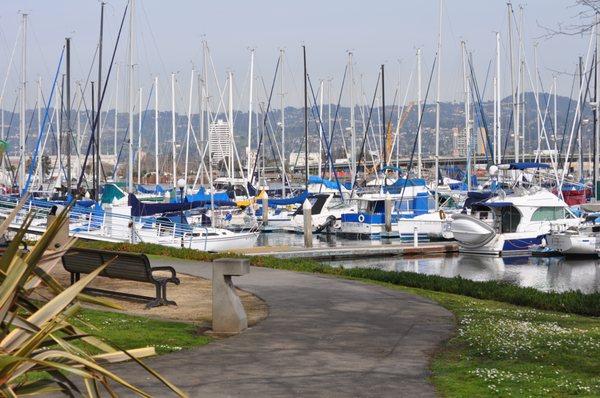 Marina Village Yacht Harbor