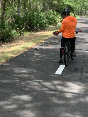 Jacksonville Baldwin Rail Trail