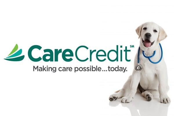 Best Friend's Veterinary Center accepts Care Credit!