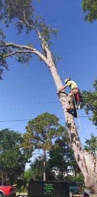 Proper safety gear is always used when performing our work!