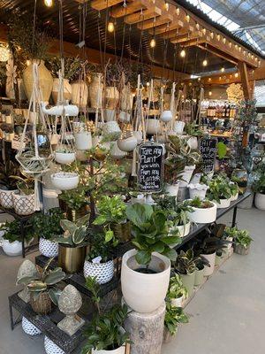 Hanging pots