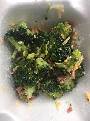 The broccoli salad is the best I've had, no stalks here, only florets! Not drowning in sauce either.