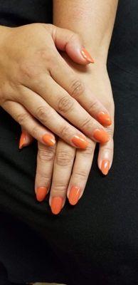 Shellac color gel manicure