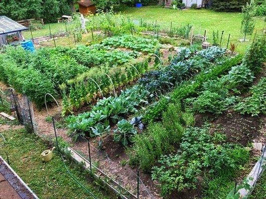 Organic Gardening with Blue Ribbon Organics