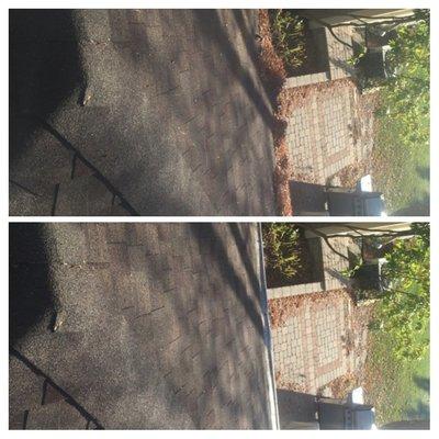 Roof Dusting of Debris and Gutter Cleaning from 20/20 View, LLC