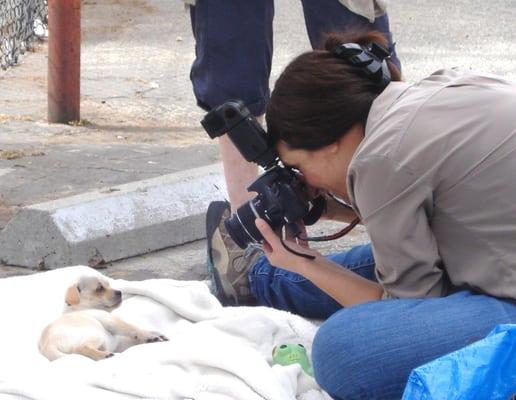 Photographer Lisa Dragani takes gorgeous pictures of the ML animals