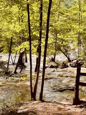 This is the view along the red trail after heavy rains.  Make sure "you leave no trace" and take out your trash.