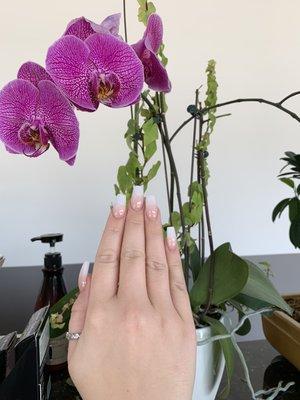 Pink and white ombré nails