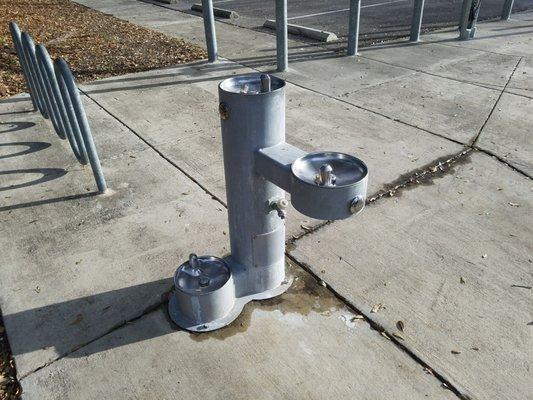 Water fountain - notice, they even have one for your four legged friends.