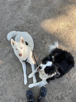 Happy boys