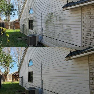 House washing. Removal of algae growth.