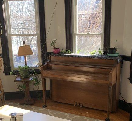 A happy piano surrounded by my lovely plants :) !