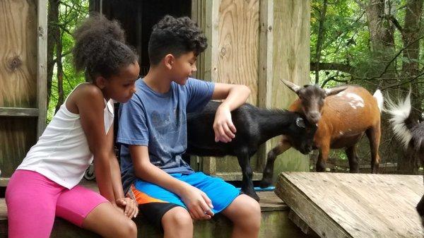 Making new friends at summer camp.