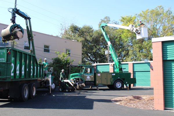 B&T's Tree Service