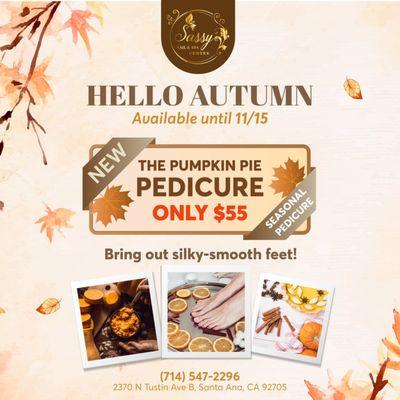 The Pumpkin Pie Pedicure - ONLY $55
Available until 11/15