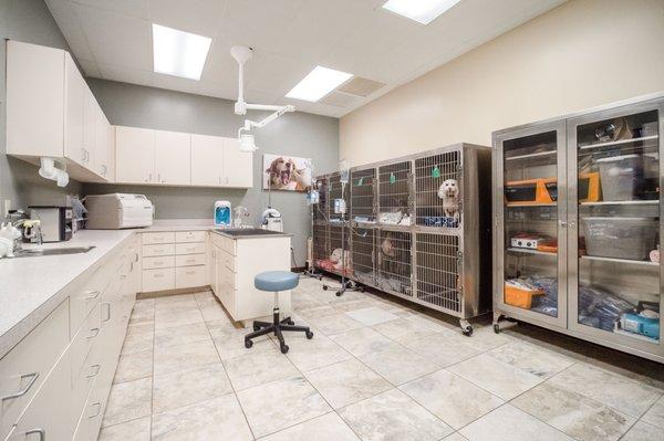 Treatment and dental cleaning area.