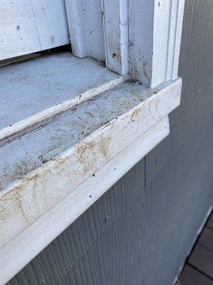 Mud covering all exteriors from previous tenant pets.