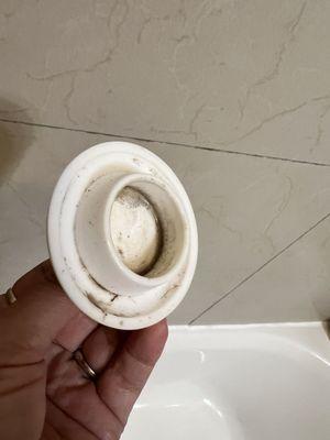 Moldy bathtub plug.