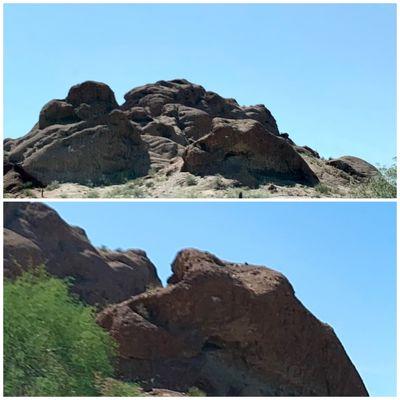 Can you spot that gigantic T-Rex Skull? Located on the hill by the Military Installation at McDowell & 52th. May 2021