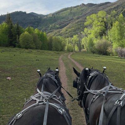 Horse-drawn Wagon BBQ Dinner Rides