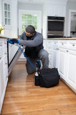 Treating a kitchen for odorous house ants.