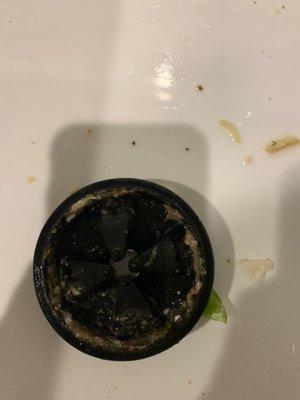 Garbage disposal cleaning