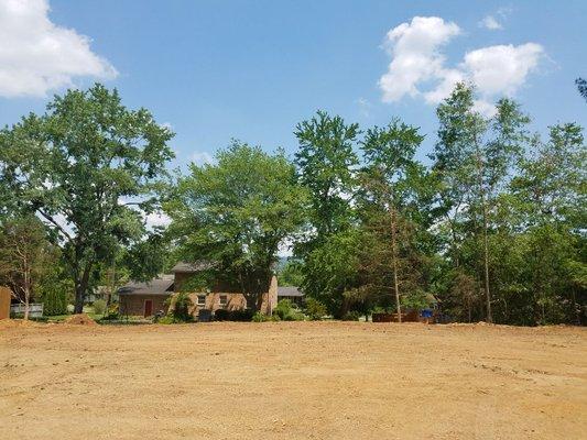 Removal of forty pine trees in a backyard in Huntsville.